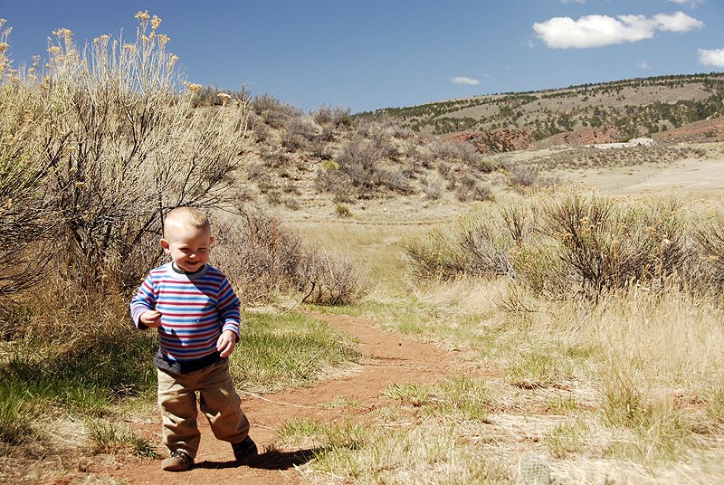 Best Hikes With Kids In Northern Colorado Bring The Kids