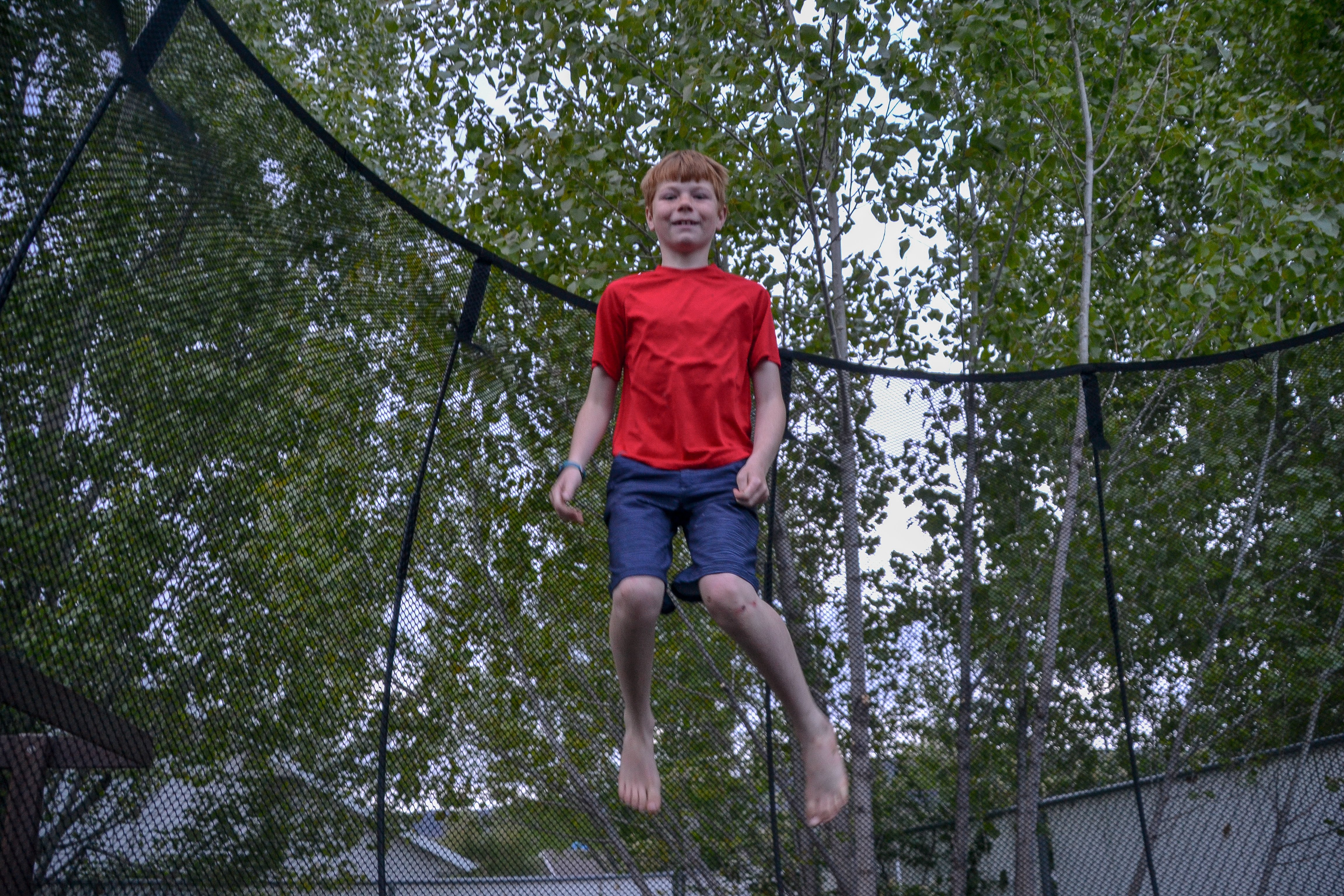 Blozend Uitwisseling zonnebloem Are Springfree Trampolines Actually Safer? Springfree Trampoline Review -  Bring The Kids