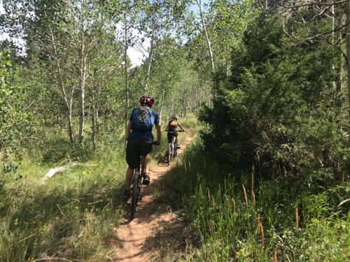 mountain biking Dry Fork Flume