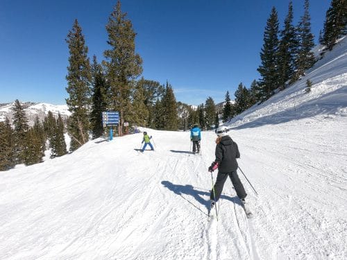 skiing down the mountain with kids