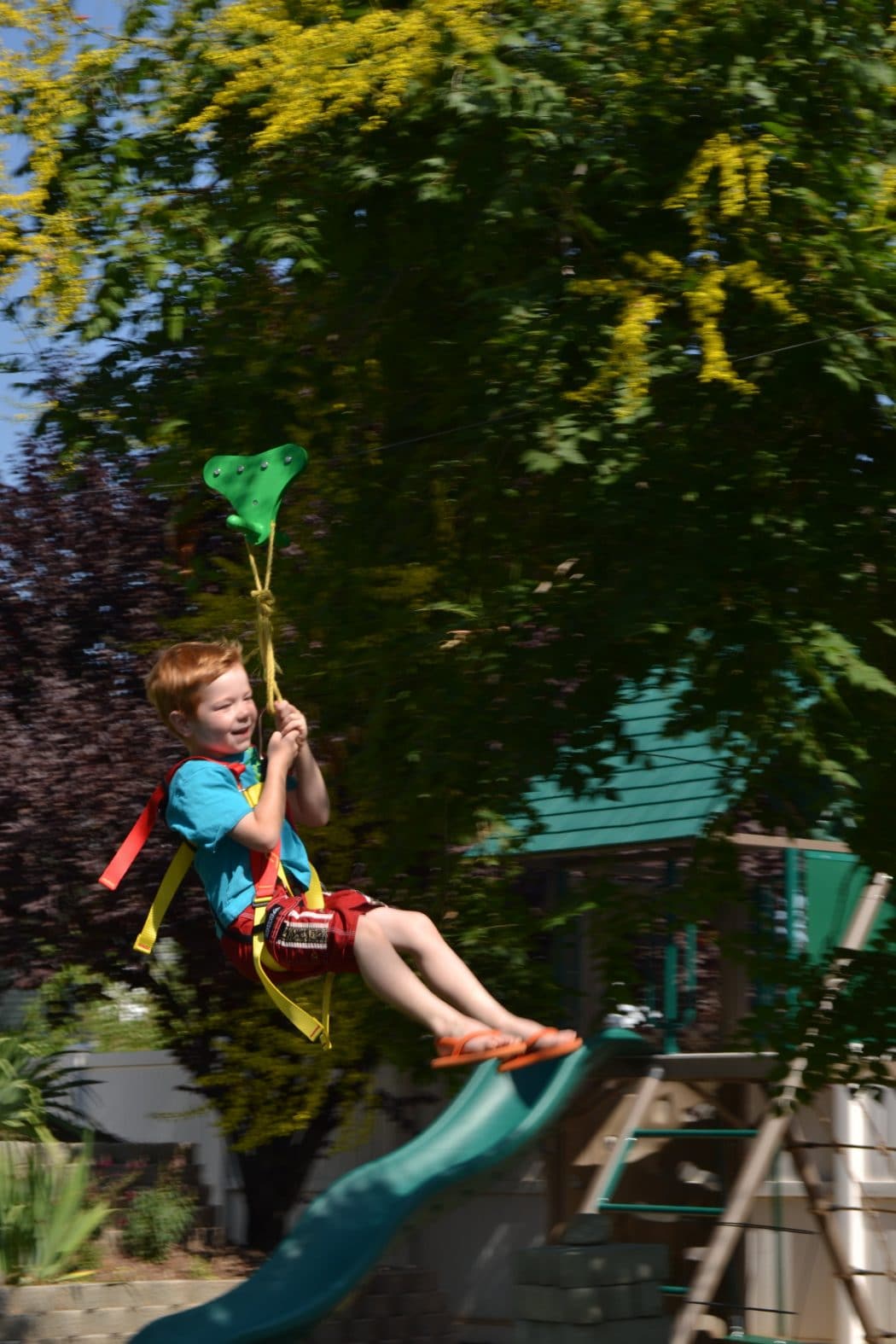 little boy on zipline