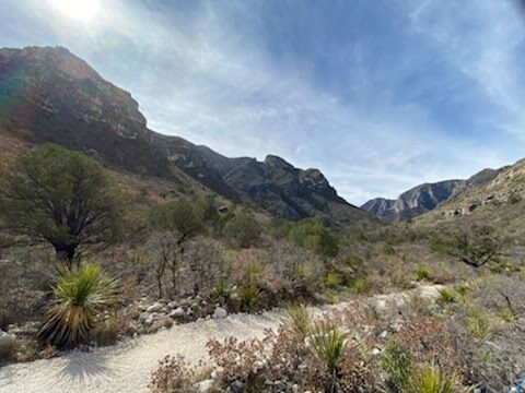 Guadalupe Mountains NP 4