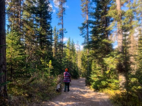 Perfect Banff National Park Itinerary for 1, 2, or 3 Days - Bring The Kids