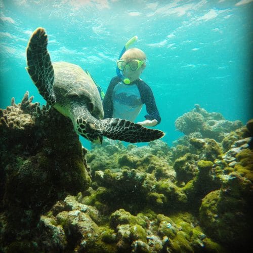 Boy swimming with sea turtle in the ocean