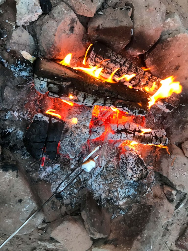 family fire roasting marshmallows