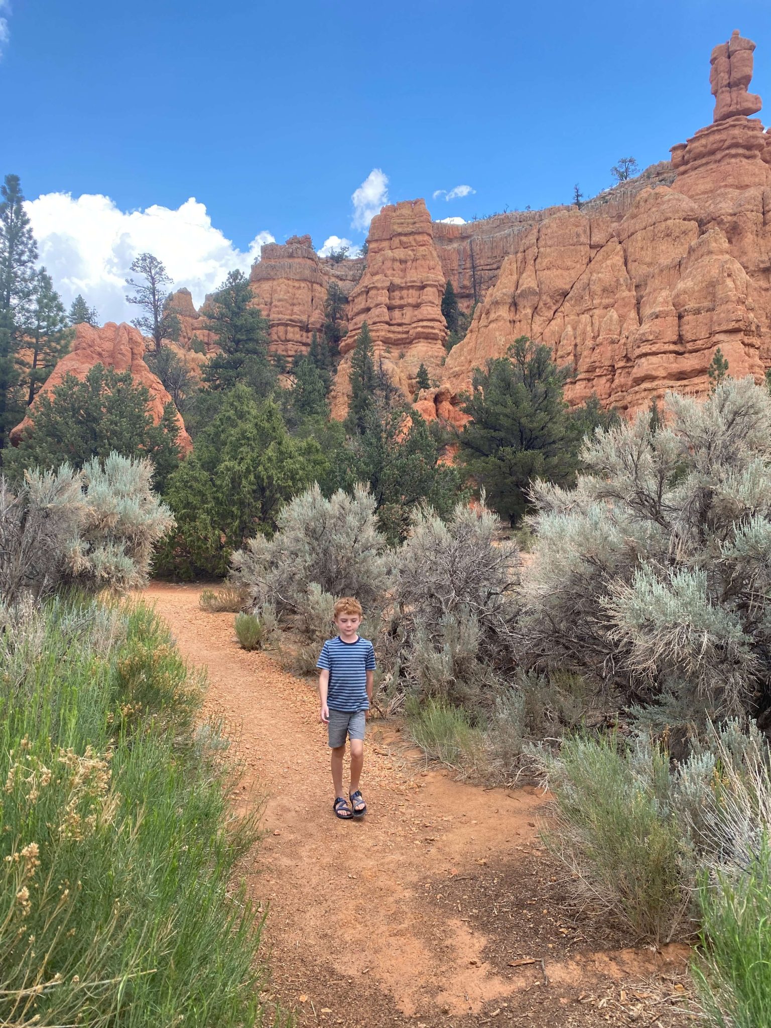 birdseye trail red canyon with kids