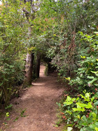 Hobbit trail oregon hike