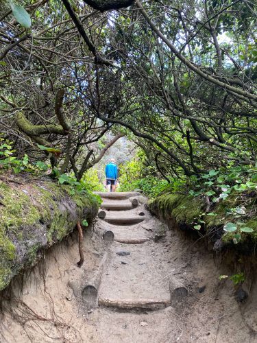 hobbit trail hike with kids oregon