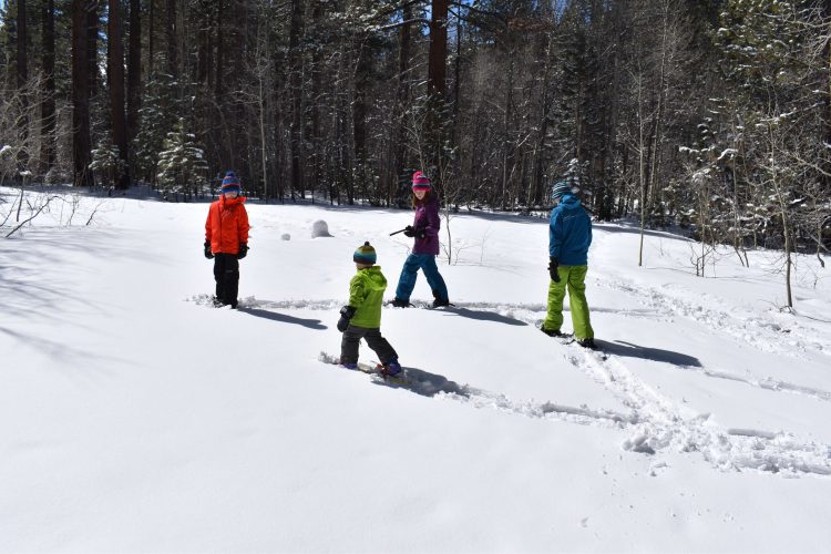 Boys Small Size 6/7 Baselayer Thermal Set Ski Skiing Snow Cold Winter New! 