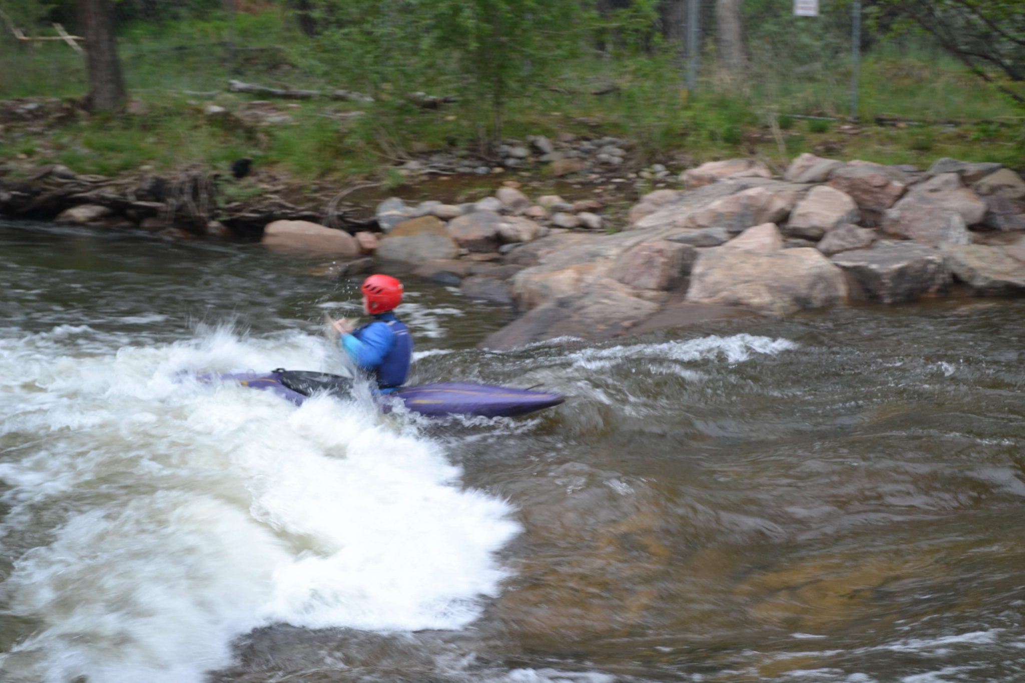 whitewater kayaking with kids golden co