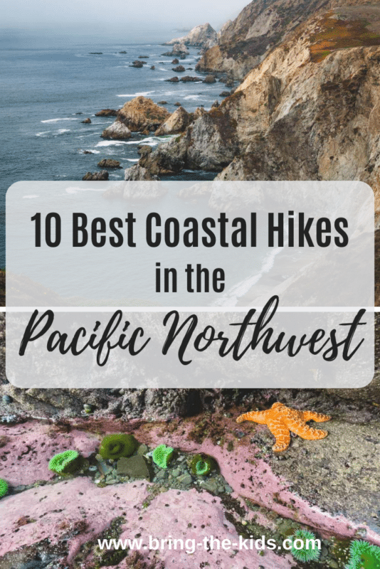 Coastal Hikes in the Pacific Northwest